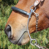 Hackamore by Brittany Pozzi - FG Pro Shop Inc.
